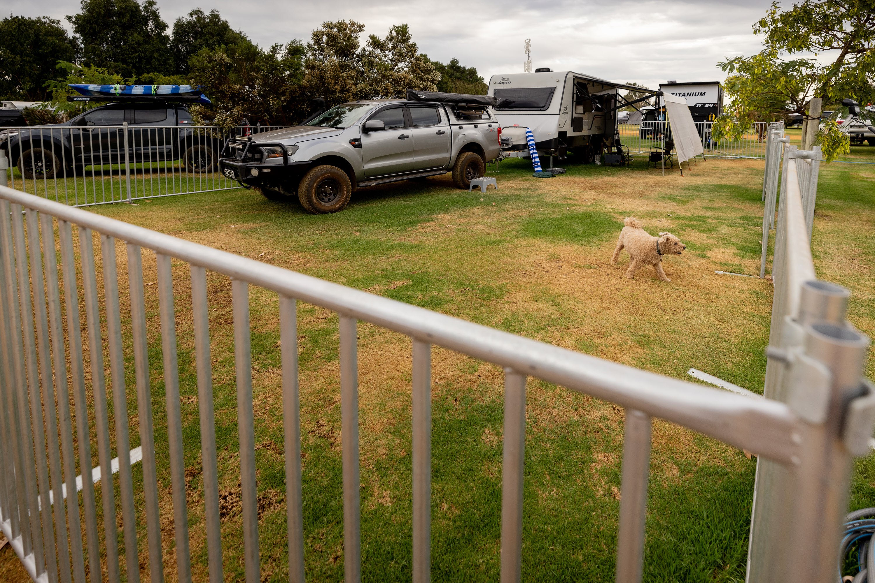 Fenced Pet-Friendly Sites